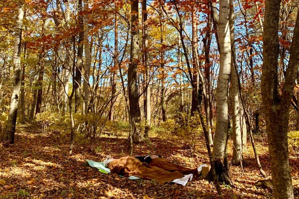 Tumbado en el suelo del bosque para un momento de descanso dichoso en el bosque