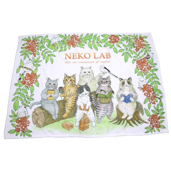 Shimaenaga Blanket