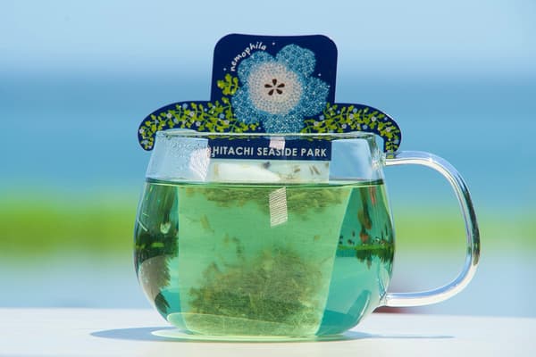 喜林草蓝色茶（热）