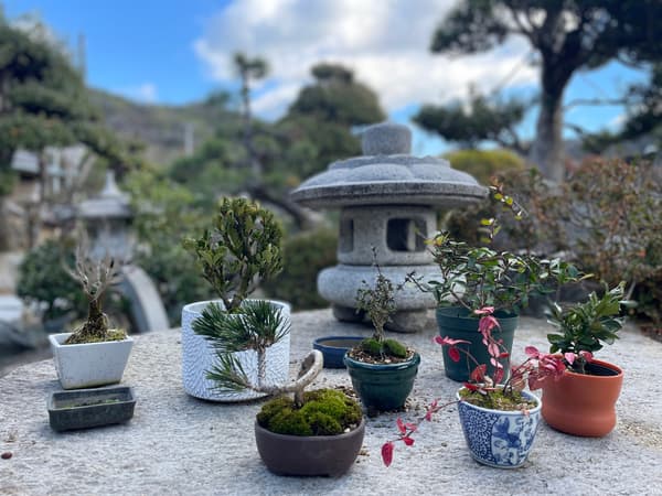 如果你喜欢，可以购买