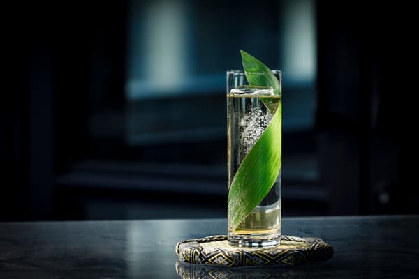 Sober Curious Highball