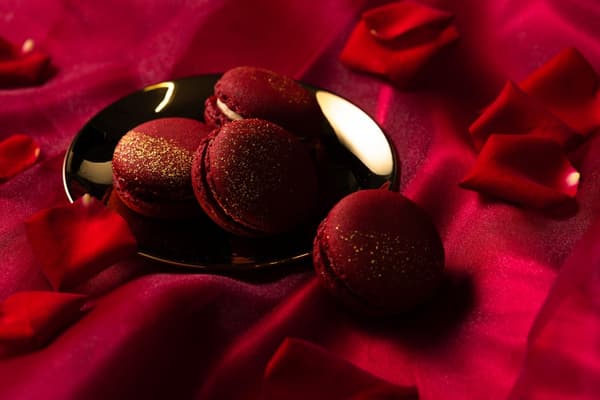 Dulces Rouge d'hiver en Pine Terrace 1