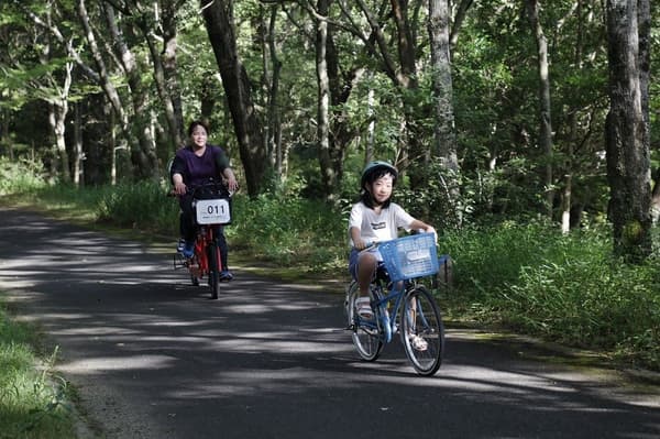 騎乘租賃自行車穿梭公園，感受初夏翠綠