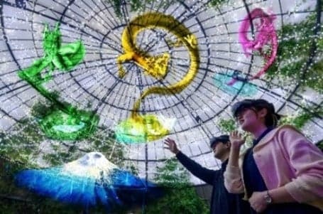 MR Goggles Experience