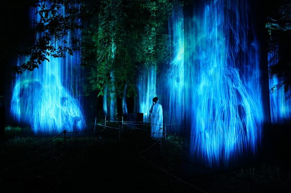 Waterfall Haunting the Valley Forest