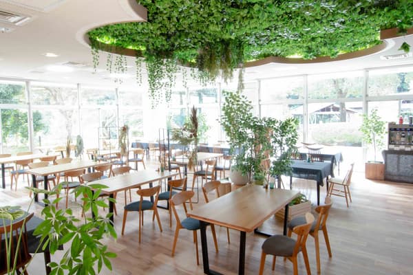 บริเวณรีสอร์ท O Park Ogose