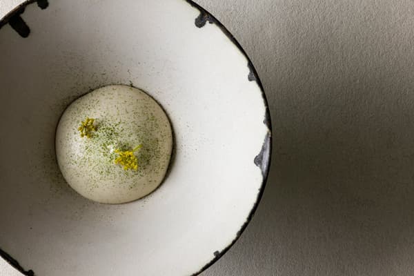 Shinano Yukimasu trout mi-cuit, hidden beneath fennel espuma