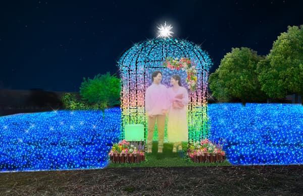 拍照点 – 效果图像