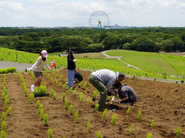 Visitors participating in the kochia planting experience event