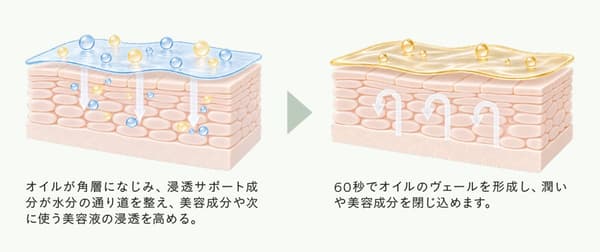 Diagram showing how the lotion supports penetration and forms an oil veil
