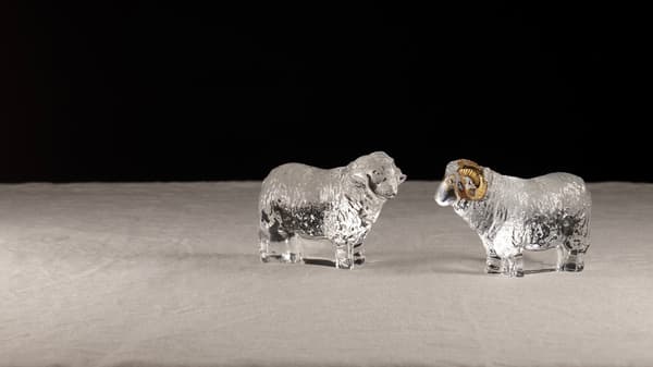 Ornamen Zodiak Domba warna bening dan emas