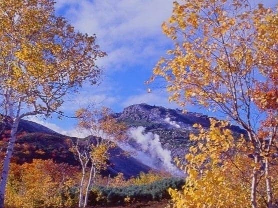 Autumn color along Mount Io