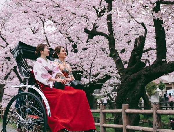 櫻花人力車之旅