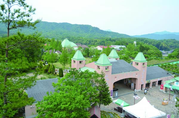 京都唐扬炸鸡盘装