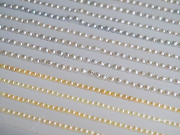 具有各种珍珠颜色的项链