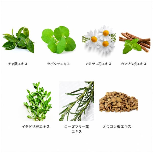 Seven plant-derived ingredients that give the skin fresh moisture