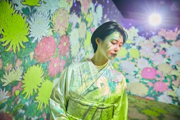 Ukiyoe Immersive Art Exhibition Osaka