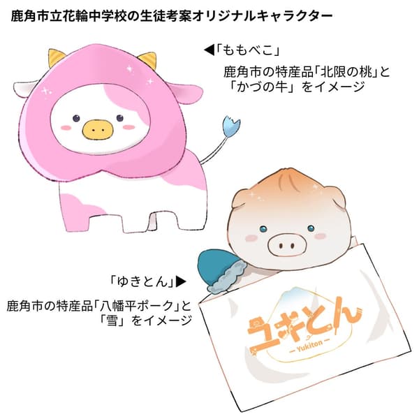 初中生设计的原创角色