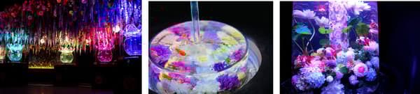 花舞/金鱼之水琴/九谷五彩金鱼