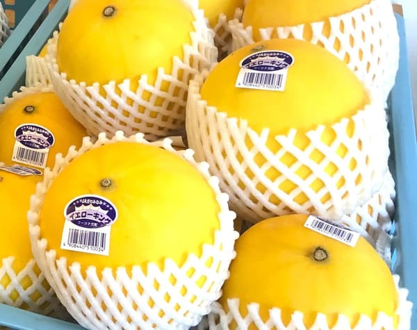 Yellow King melon