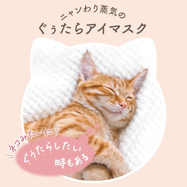 产品logo和猫咪插图