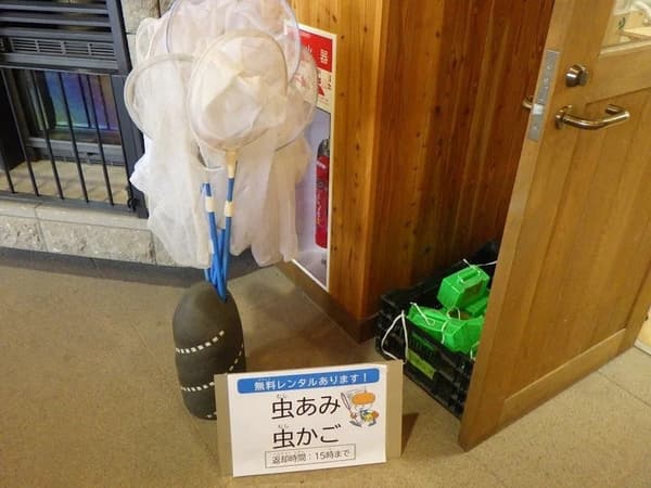 捕虫网和虫笼租借