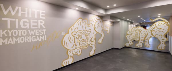 一对白虎首次在酒店空间亮相