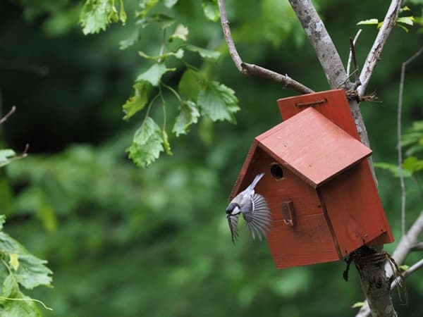An example of the birdhouses guests will build