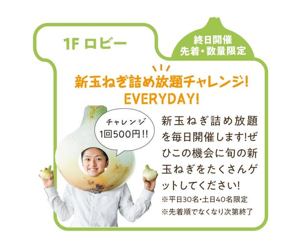 New Onion Stuffing Challenge