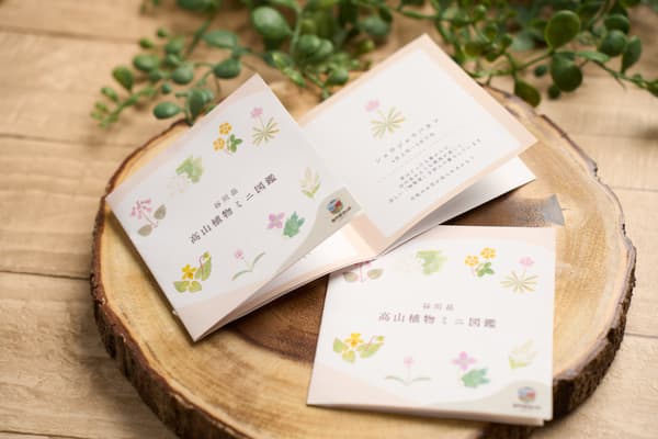 Folleto de la caminata de flores (imagen)