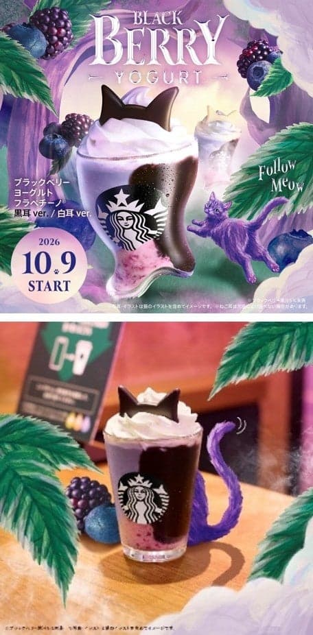 Juego de atrapadas con el Gato Púrpura Fantasma en X