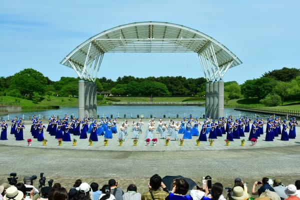Hitachinaka Hula Festival scene from 2025