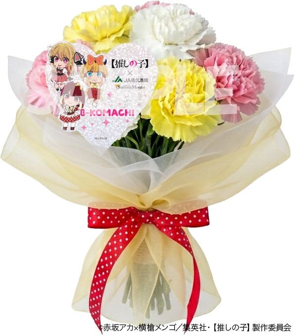 Ai red carnation flower gift