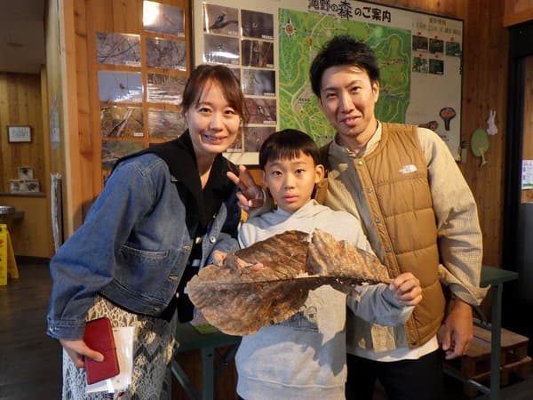 Giant honoki leaf