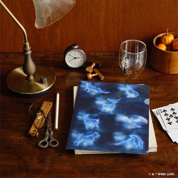 Clear File dan Gelas Dinding Ganda
