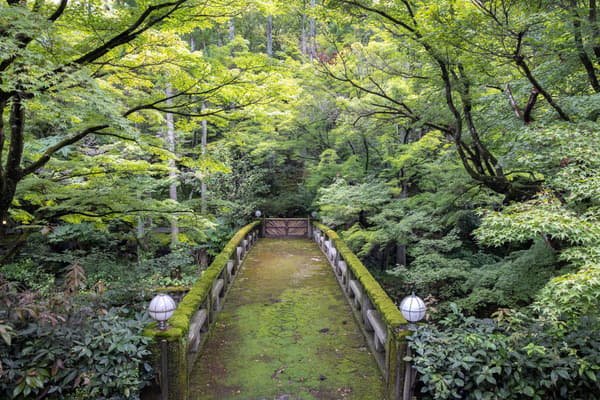 MOSS KOGEI Kyoto 2026