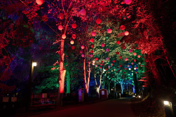 Illuminated scenery in the Moominvalley area