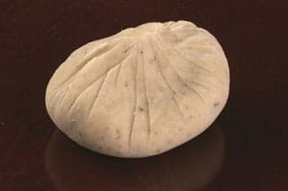 오쿠리가시 쇼게츠도