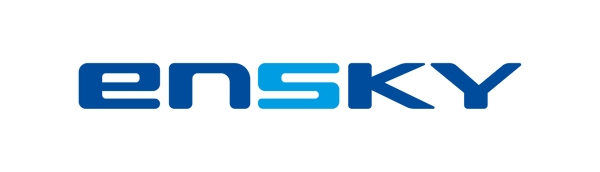 Ensky 标志