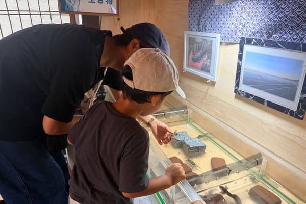 在玉寺水族馆近距离观察海洋与河流生物的访客
