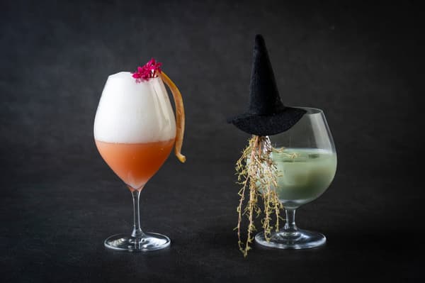 Pink Perfection (left) / Magic Unleashed (right)