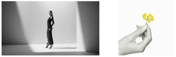 THE GINZA Brand Image