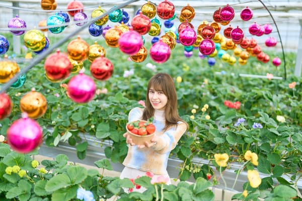 溫室內色彩繽紛的彩虹裝飾