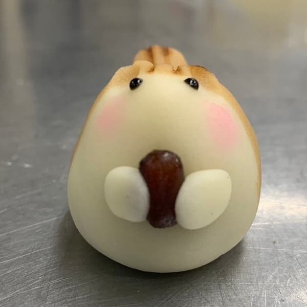 Risu dari depan, memegang kacang kanoko