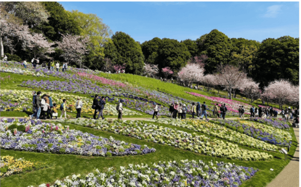 里山花園(2025年4月)