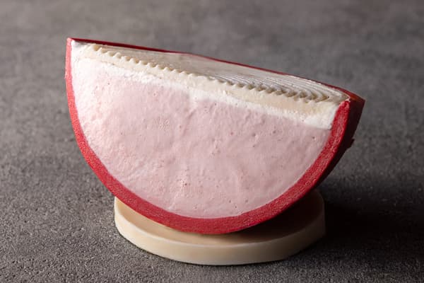 A Gift From Santa Claus, cross-section