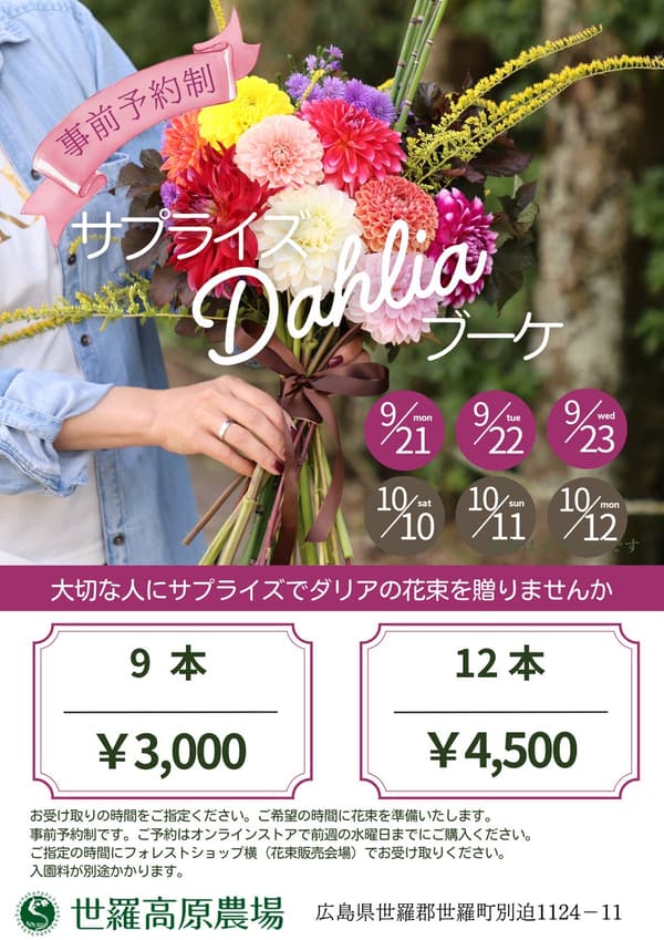 Ramo de Dalias Sorpresa