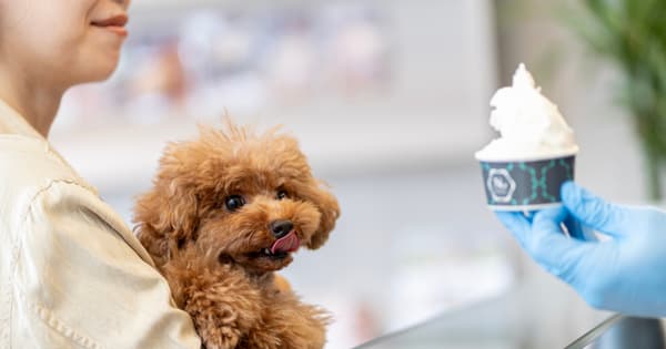 如果抱着狗狗，欢迎进入