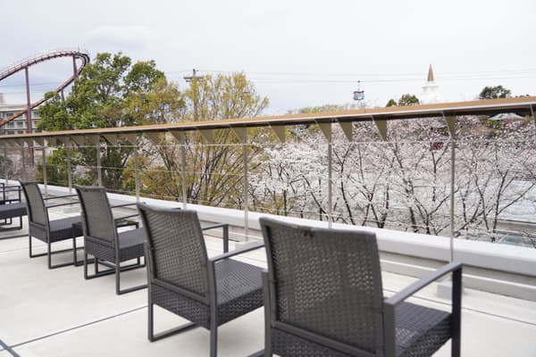 从赏樱露台看到的樱花景色（往届活动）