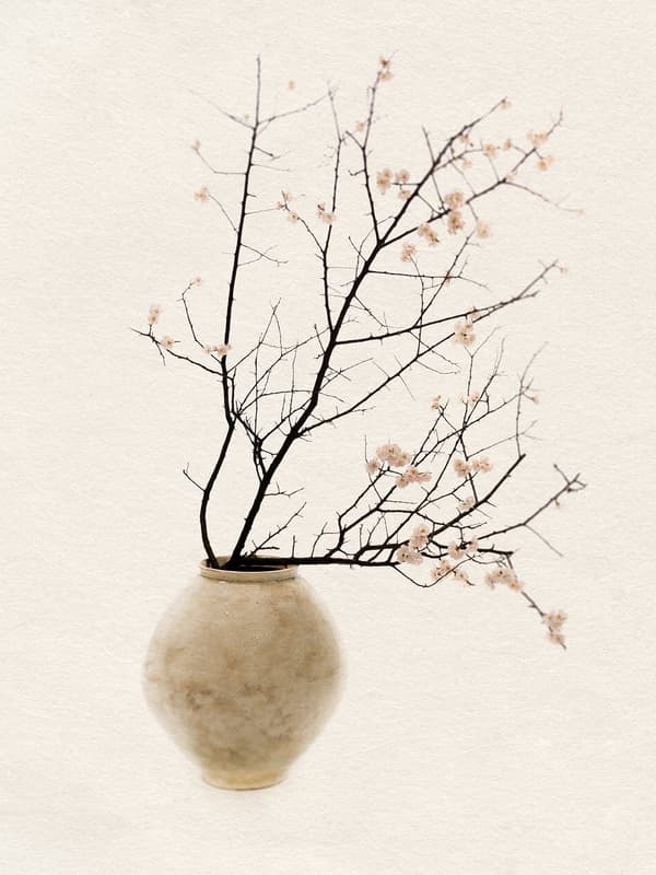 The Moon, the Flowers from The things series